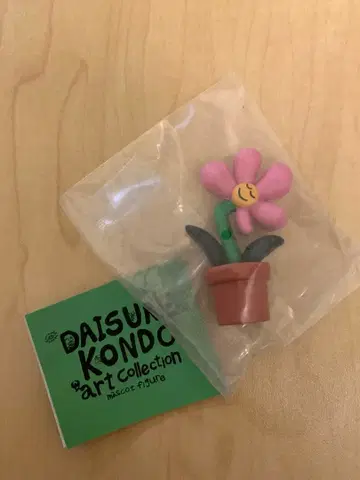 DAISUKE KONDO art Collection hana