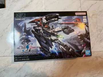 HG COSMIC ERA 무라사메 개조 건담 프라모델