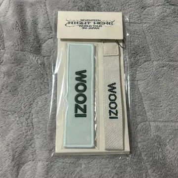 세븐틴 seventeen 와펜 배지 right here 우지