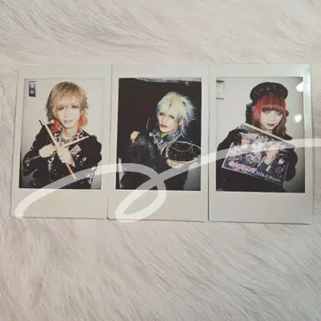 Royz 폴라로이드