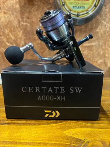 24 셀 테이트 SW 6000 XH