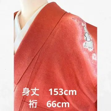 (N11-01T25) 아름다운 호몬기