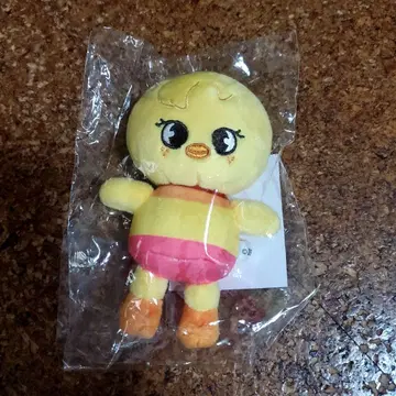 Straykids 스키즈 필릭스 포가리 백참