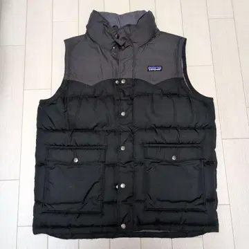 patagonia 다운 베스트