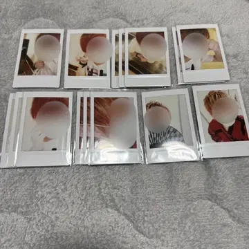 KnightA 기사A KnightX 기사X 바우군 폴라로이드 4