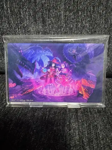 뱅드림 5주년 우다가와 아코 흰금 린코 아크릴 스탠드 Roselia