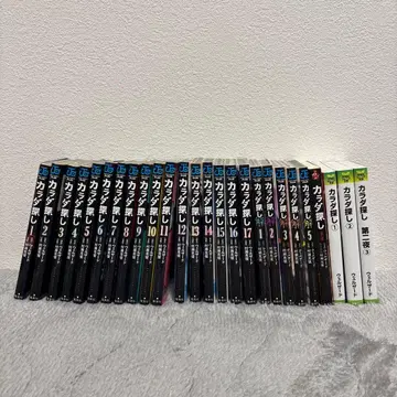 카라다 사가시 코믹스 소설