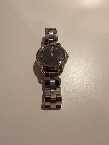 에네스베 실버 손목시계 v700-6220