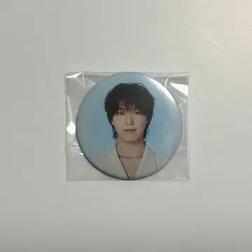 SEVENTEEN NEW 캔뱃지 디노