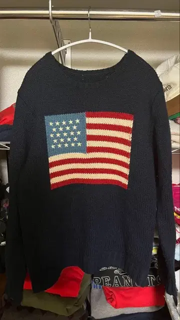 성조기 니트