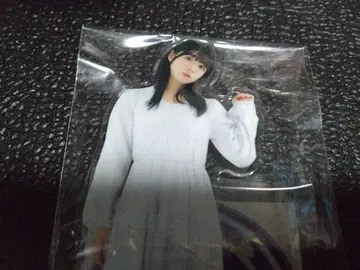 아마네스 모드 in namco TOKYO 아크릴 스탠드 신도 아마네