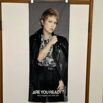 테고시 유야 타월