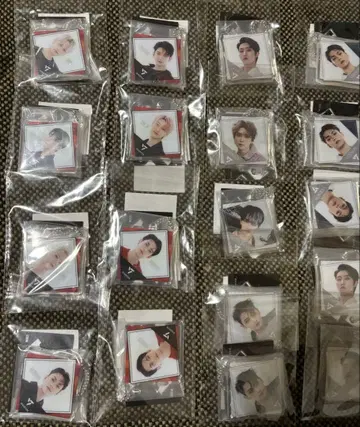 SEVENTEEN 세부치 아크릴 참 참 21개