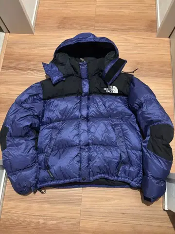 The north face vintage baltro jacket