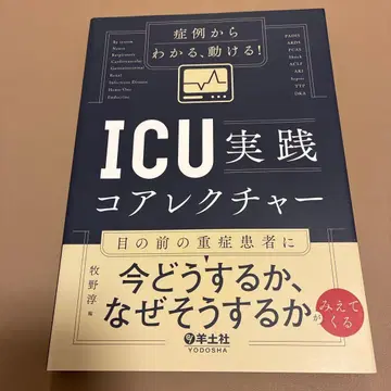 증례에서 알 수 있는, 움직일 수 있는! ICU 실천 코어 강의