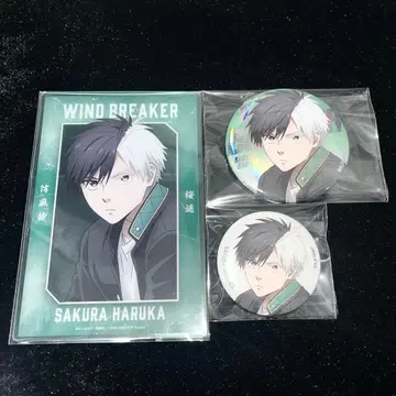 WIND BREAKER 윈브레 베이스 야드 벚꽃