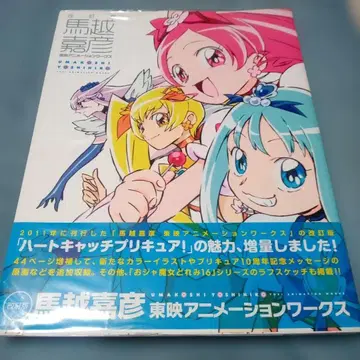 개정판 [마코시 요시히코 도에이 애니메이션 웍스] (이치진샤)