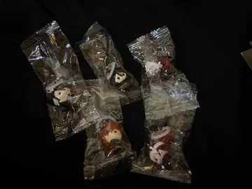 BLEACH 메지루시 액세서리 5개 세트