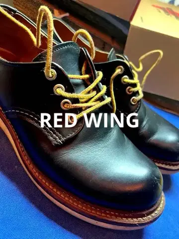 RED WING 레드 윙 옥스포드 D8002 US7