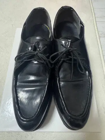 SLY 스라이 로퍼 신발