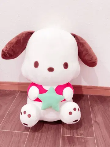 산리오 포차코 봉제 인형