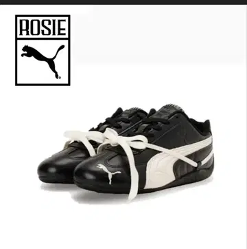 puma rose 콜라보 23cm