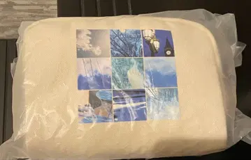 시점과 시점 파우치