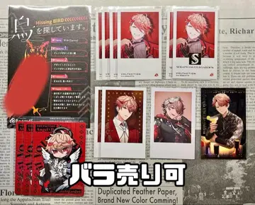 세라프 다즐 가든 니지산지 정리