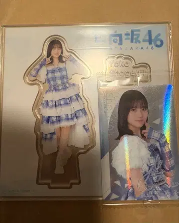 히나타자카46 쇼겐지 요코 아크릴 스탠드 카드