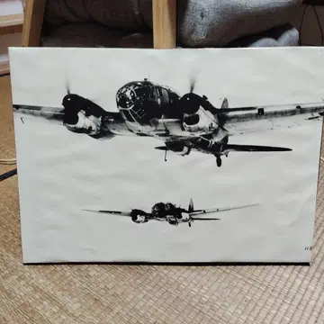 항공기 흑백 인쇄 대형