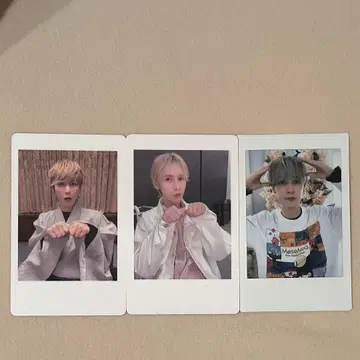 메세모아 노쿠소 하피카 폴라로이드