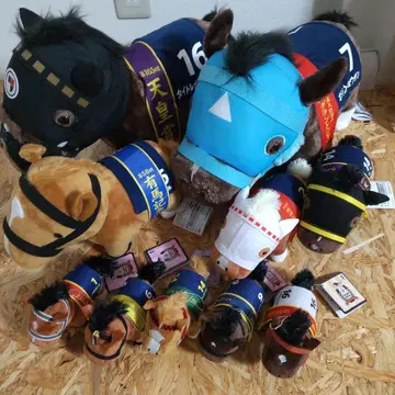 사라브레드 컬렉션 묶음 판매