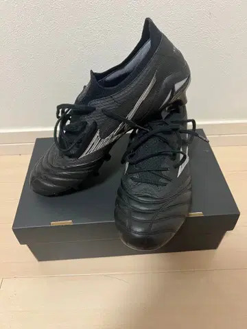 모렐리아 NEO4 BETA JAPAN