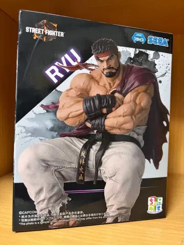 류 쵸코노세 피규어 스트리트 파이터 6