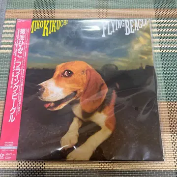 키쿠치 히미코 FLYING BEAGLE