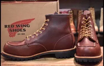 [ 10.5D 새상품급 22년 ] 레드윙 8146 아이리쉬 세터