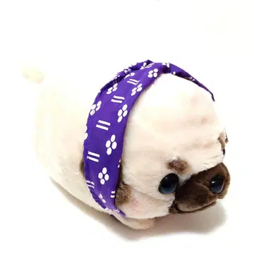 츠미코 콩시바 삼형제 점보 퍼그베에 봉제 인형