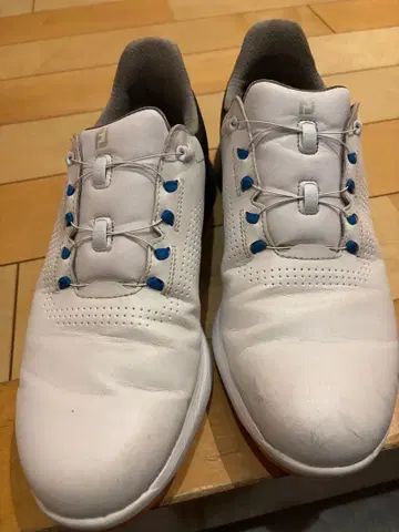 FootJoy 골프화 화이트