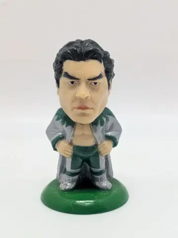 프로 격투 히어로즈 미사와 히카루