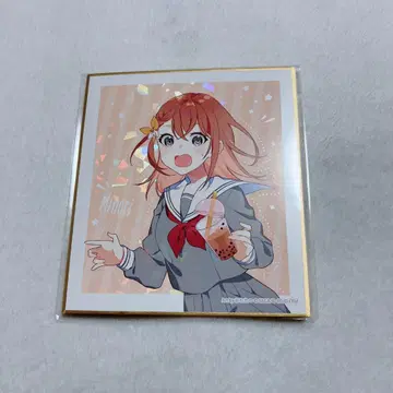 프로세카 카미고 문화제 하나사토 미노리 색지