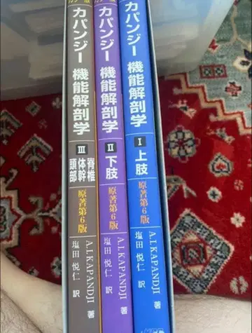 카판지 기능 해부학 상지 하지 척추 몸통 머리