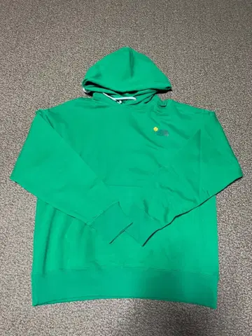 THE NORTH FACE 그린 후드티 XL