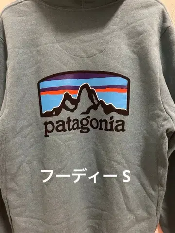 파타고니아 후드티 업라이저 후디 39619