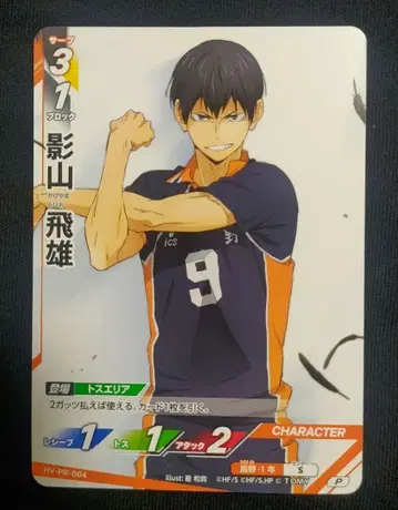 하이큐!! 바보카!! BREAK 카게야마 토비오 P