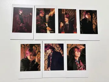 아라키 폴라로이드풍 컬렉션 사후 통신 판매