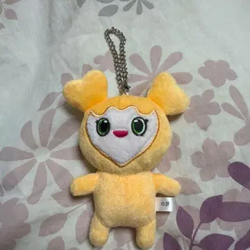 TWICE 지효 지브리 노멀 초기 백참