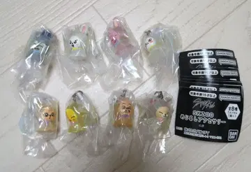 8종 컴플리트 SKZOO 메지루시 액세서리 컴플리트