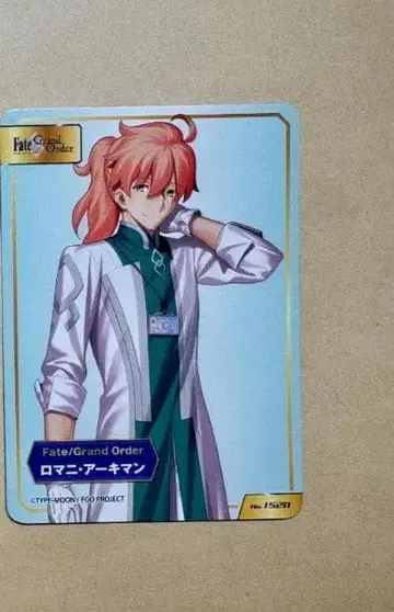 FGO fate TYPE-MOON 페어 로마니 아키만