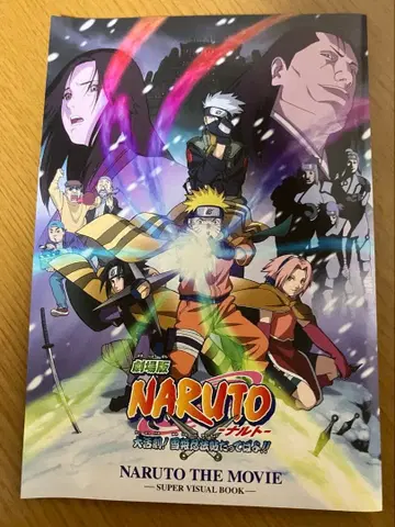 NARUTO DVD & 포스터