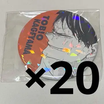 하이큐!! 카게야마 토비오 올스타 캔뱃지 20개